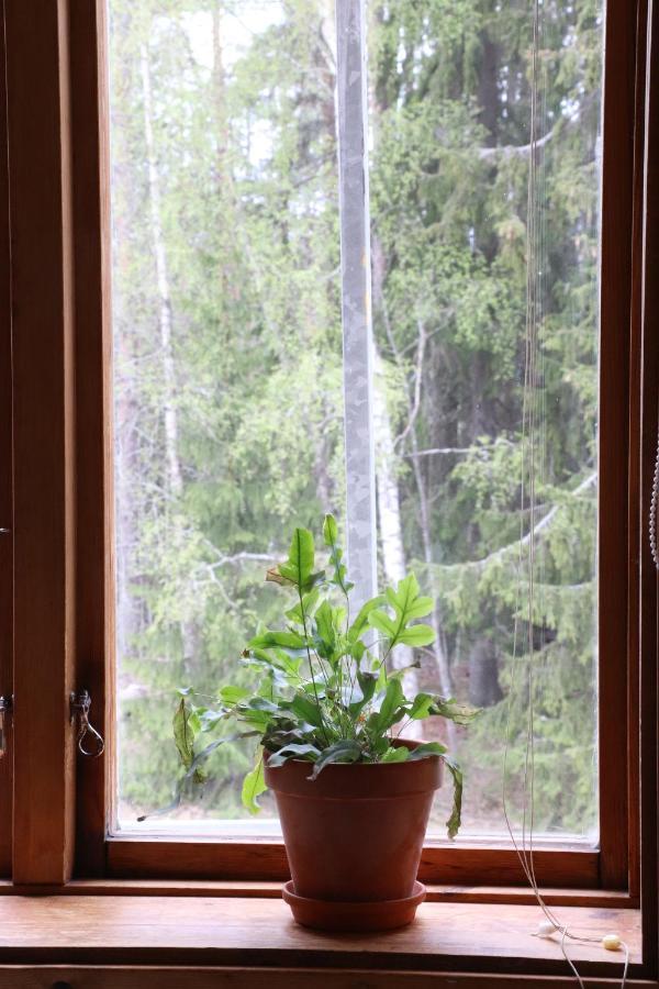Bed and Breakfast Turistgarden Saerna Экстерьер фото